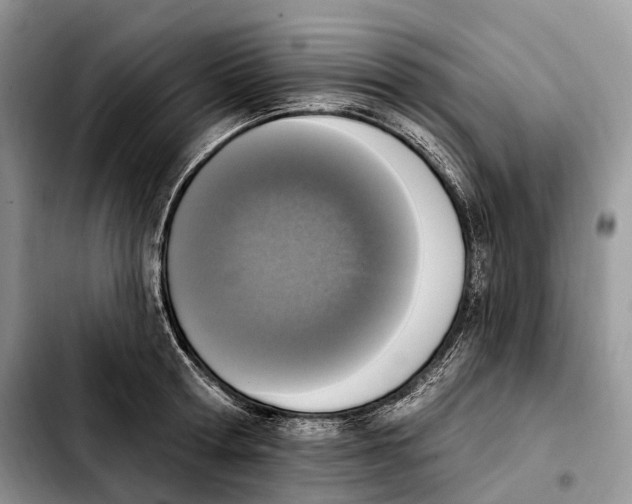 X0000103950802200810101437