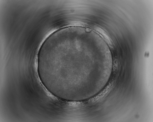 X0000103950804200810101437