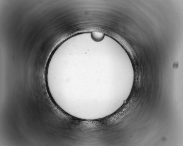 X0000103950805200810101437