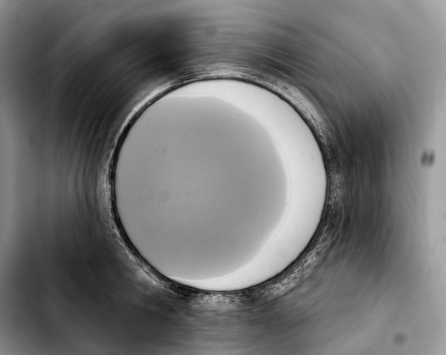 X0000103950806200810101437