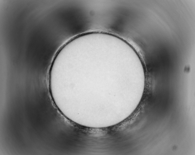 X0000103950807200810101437