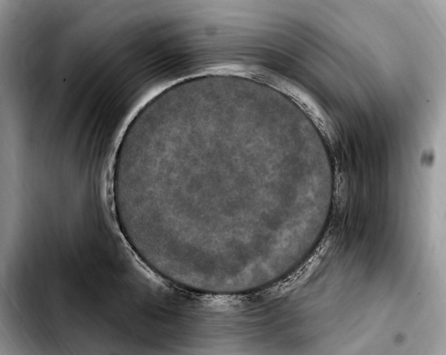 X0000103950808200810101437