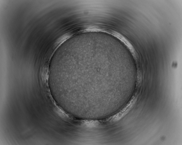 X0000103950809200810101437