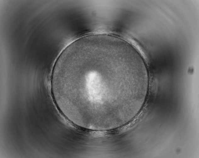 X0000103950810200810101437