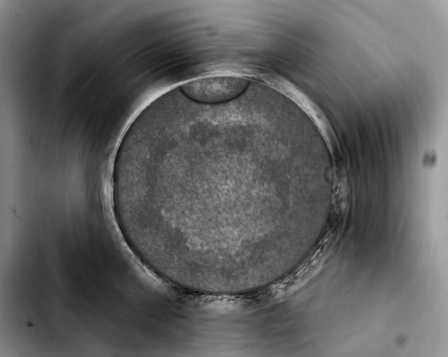 X0000103950811200810101437