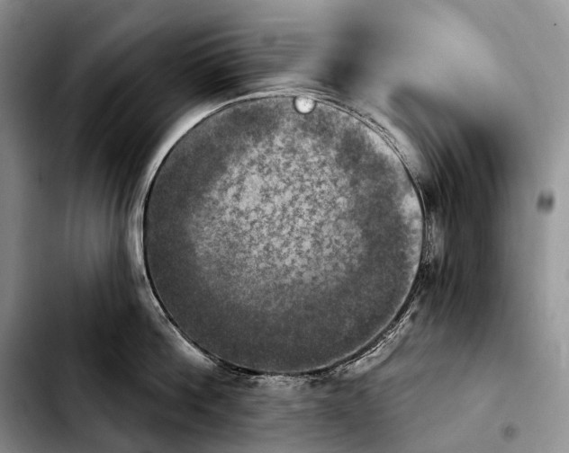 X0000103950812200810101437