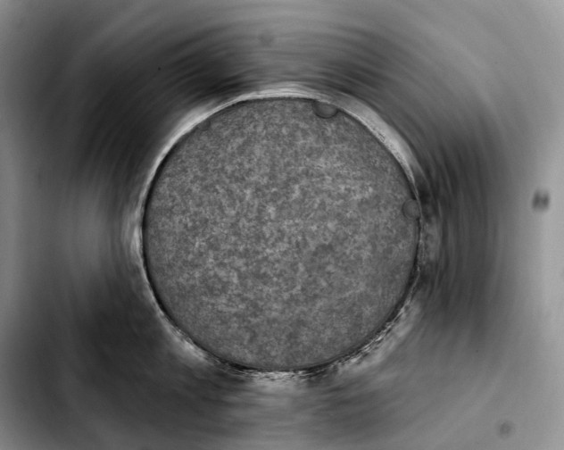 X0000103950813200810101437