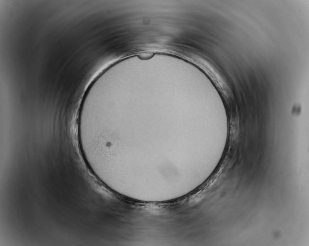 X0000103950814200810101437