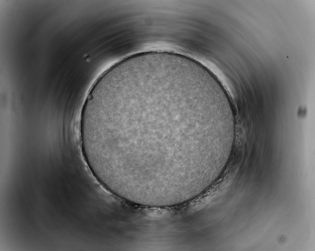 X0000103950815200810101437