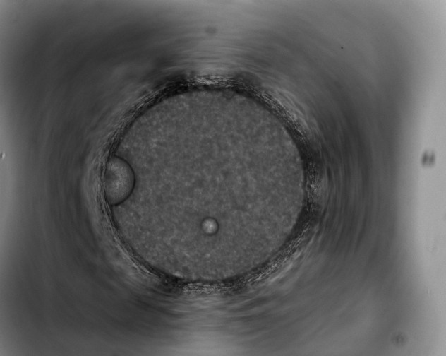 X0000103950817200810101436