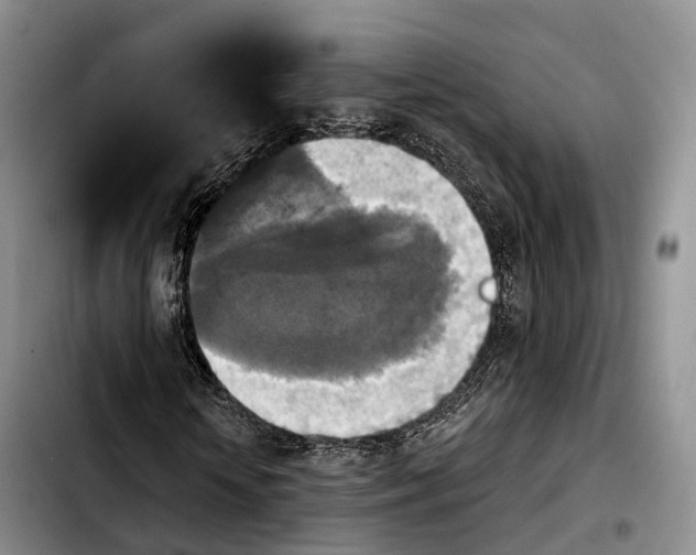 X0000103950818200810101436