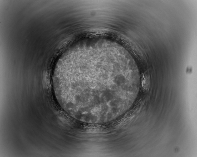 X0000103950819200810101436