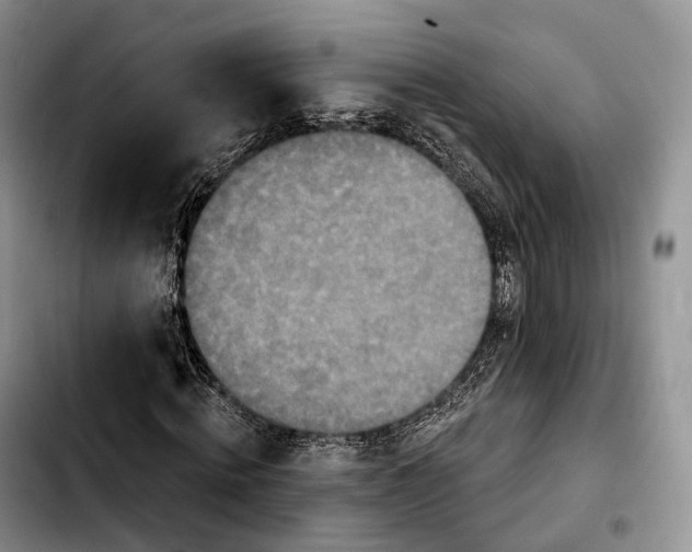 X0000103950820200810101436