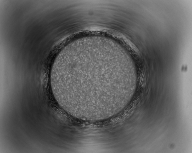 X0000103950821200810101436