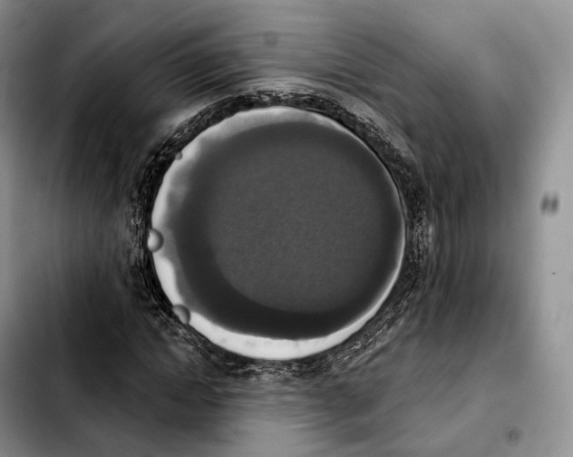 X0000103950822200810101436