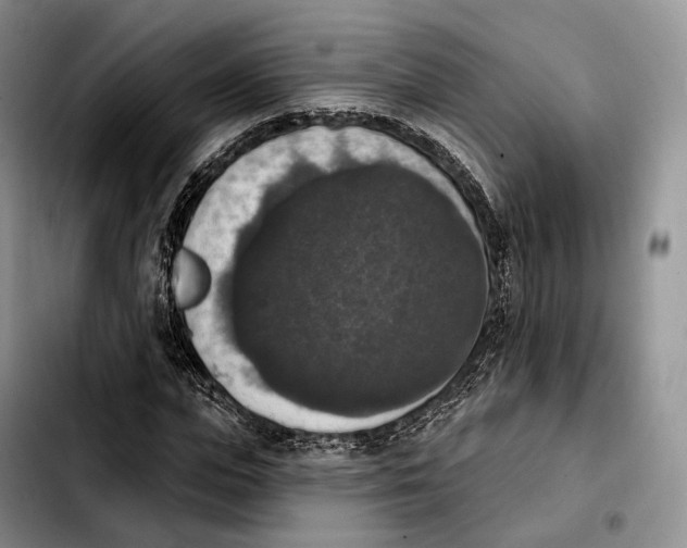 X0000103950823200810101436