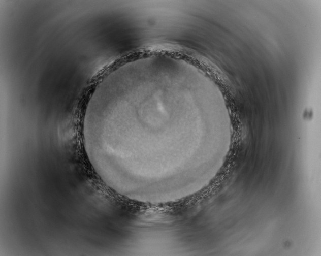 X0000103950824200810101436