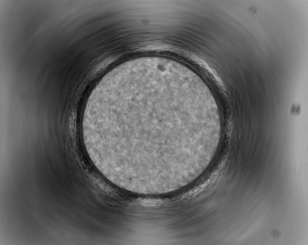 X0000103950825200810101436