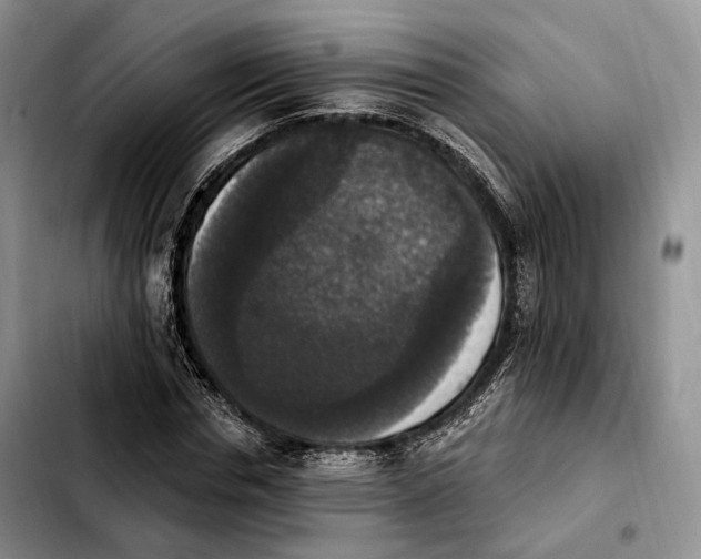 X0000103950826200810101436