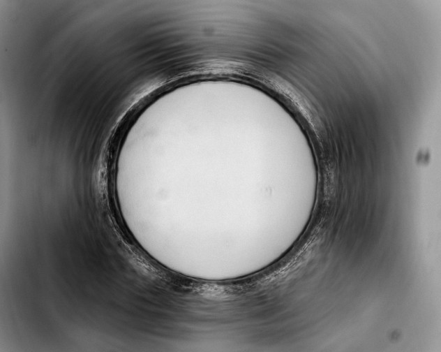 X0000103950827200810101436