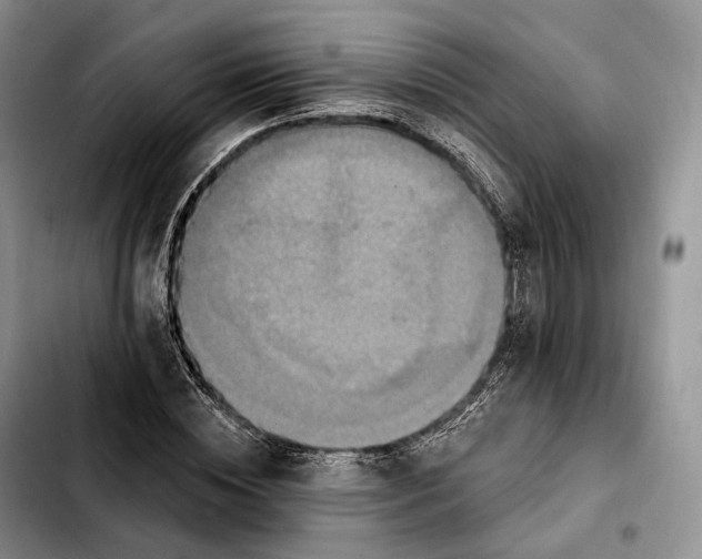 X0000103950828200810101436