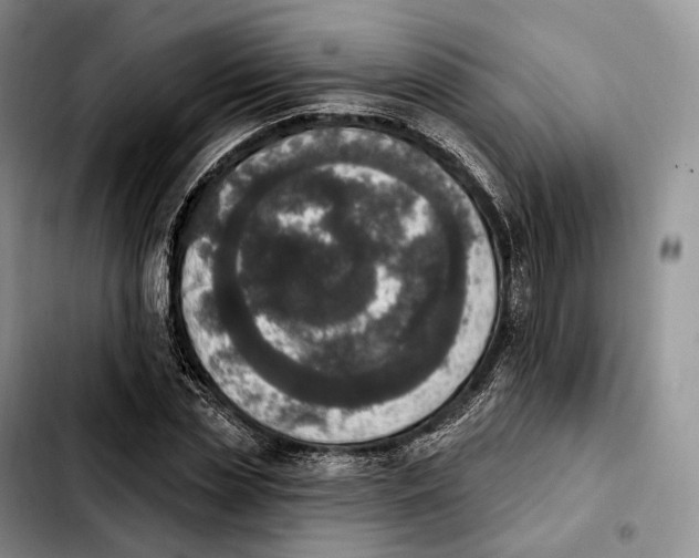 X0000103950829200810101436