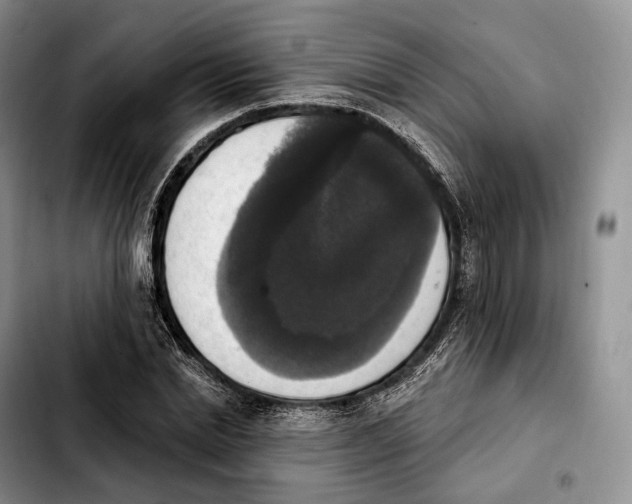 X0000103950830200810101436