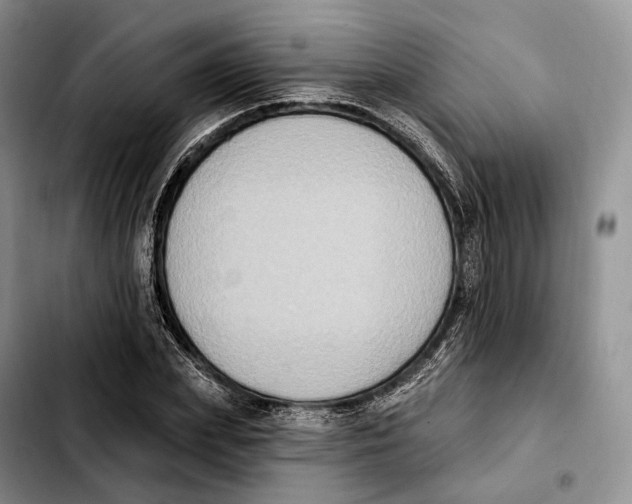 X0000103950831200810101436