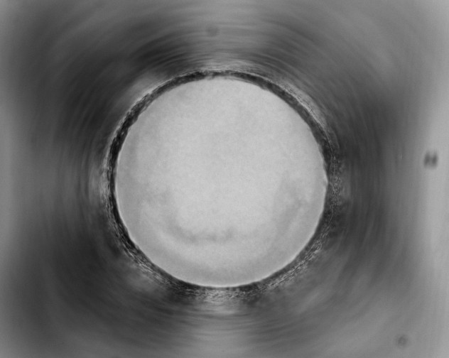 X0000103950832200810101436