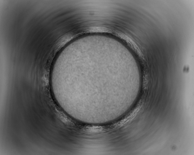 X0000103950833200810101436