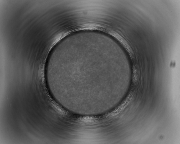 X0000103950834200810101436