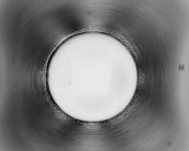 X0000103950836200810101436