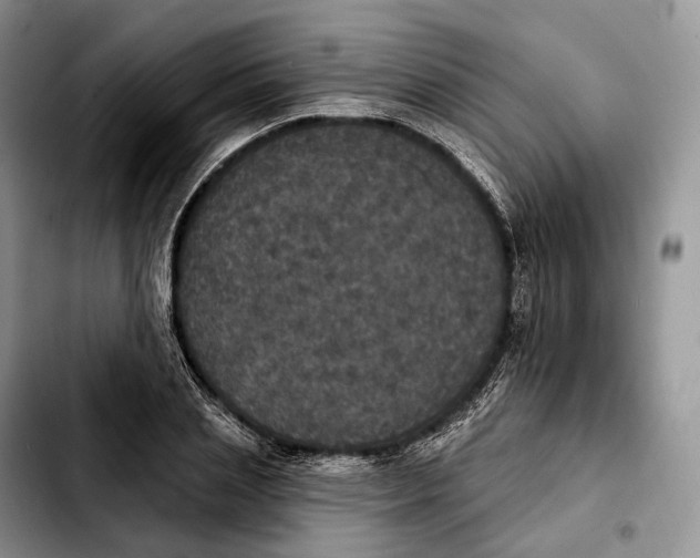 X0000103950837200810101436