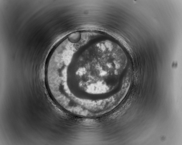 X0000103950839200810101436