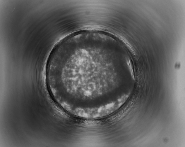 X0000103950840200810101436