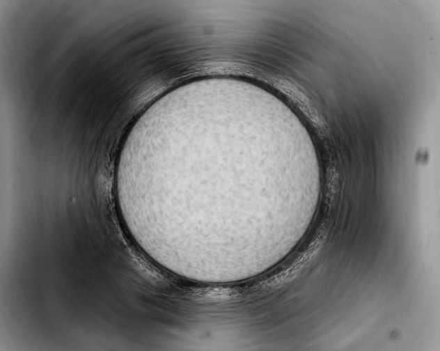 X0000103950841200810101436