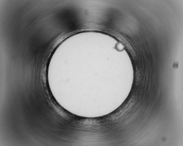 X0000103950842200810101436