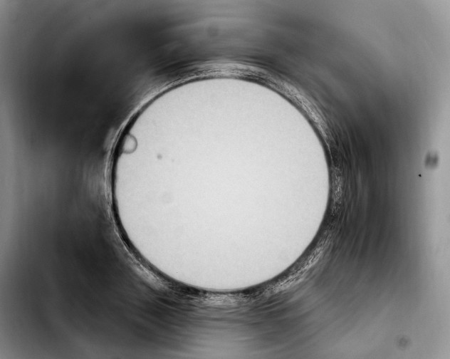 X0000103950843200810101436