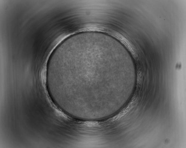 X0000103950844200810101436