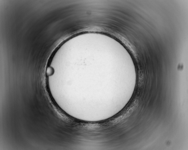 X0000103950845200810101436