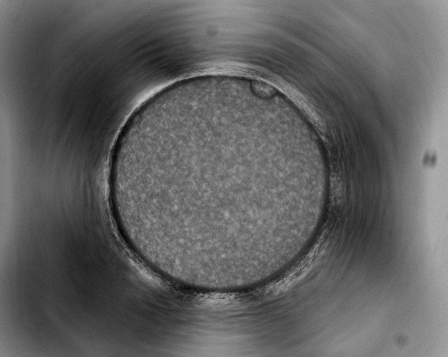 X0000103950846200810101436