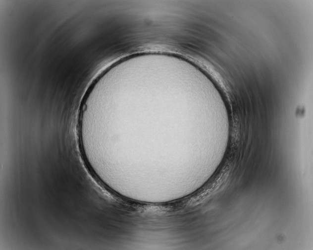 X0000103950847200810101436