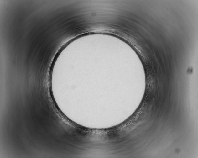 X0000103950848200810101436