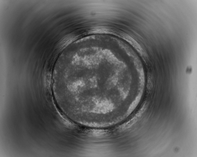 X0000103950849200810101436