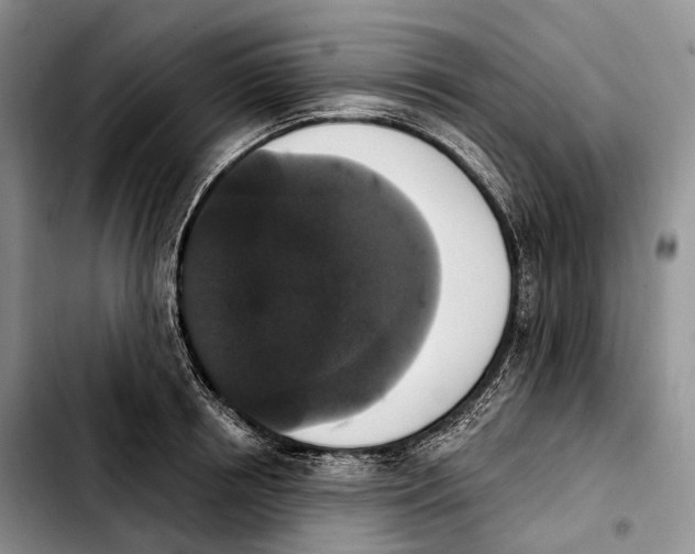 X0000103950850200810101436