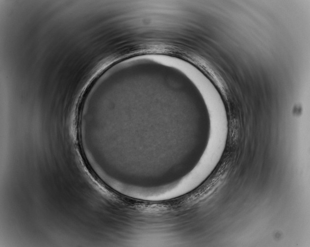 X0000103950851200810101436