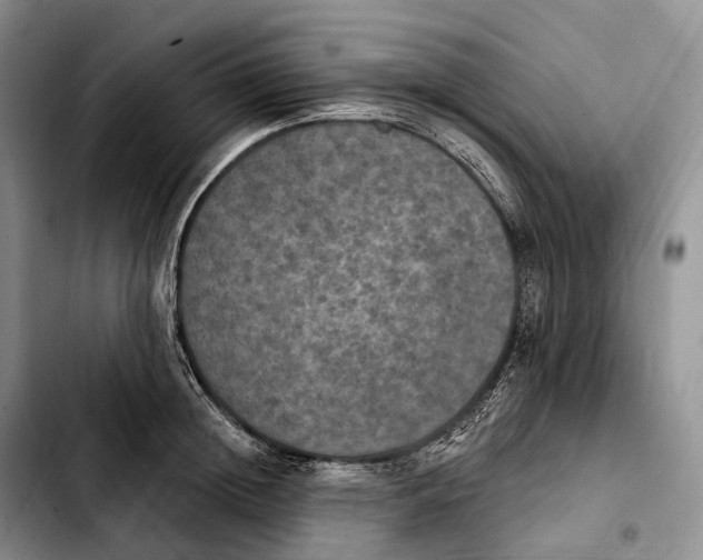 X0000103950852200810101436