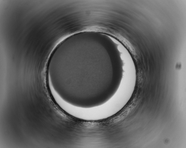 X0000103950854200810101437