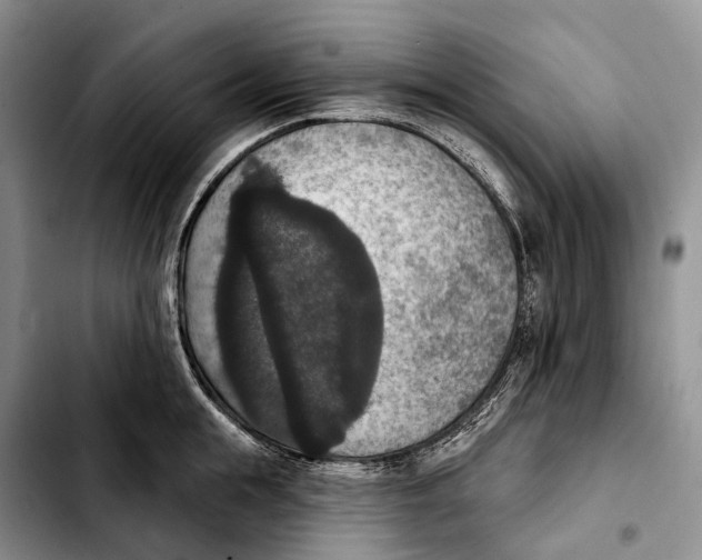 X0000103950855200810101437