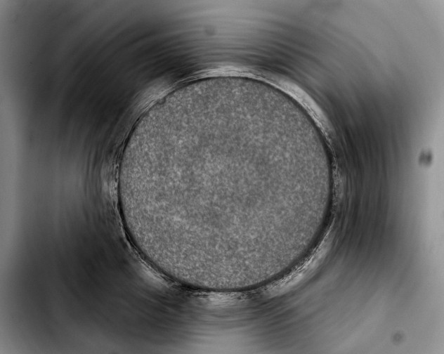 X0000103950857200810101437